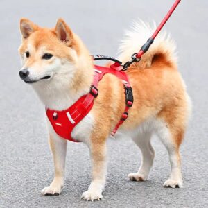 Grantop Dog Harness, Adjustable No Pull Dog Harness Vest Harness, Reflective Soft Pet Vest Harness, Anti Pull Harness (below price is for 5pcs)(Size XS to XL)