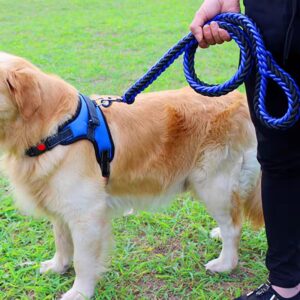Size XS to XL Solid Dog Vest Walking Pet Harness and Leash Set Adjustable Dog Collar Harness Without Tension(below price is for 10pcs )
