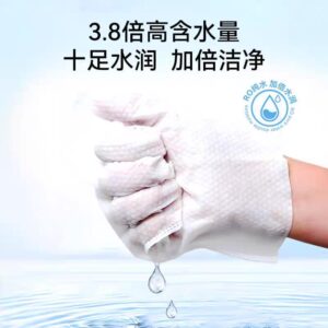 10set Pet cleansing gloves(below price is 50pcs)