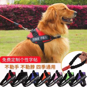 Size S to XXL Small Service Dog Vest, DEWVIE Dog Harness and Leash Set with 10 Patches, Breathable in Training Pet Vest Harness with Soft Handle for Small Medium Large Dogs (below price is for 5pcs)